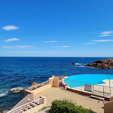 Le Cap Neree T2 Rez De Mer